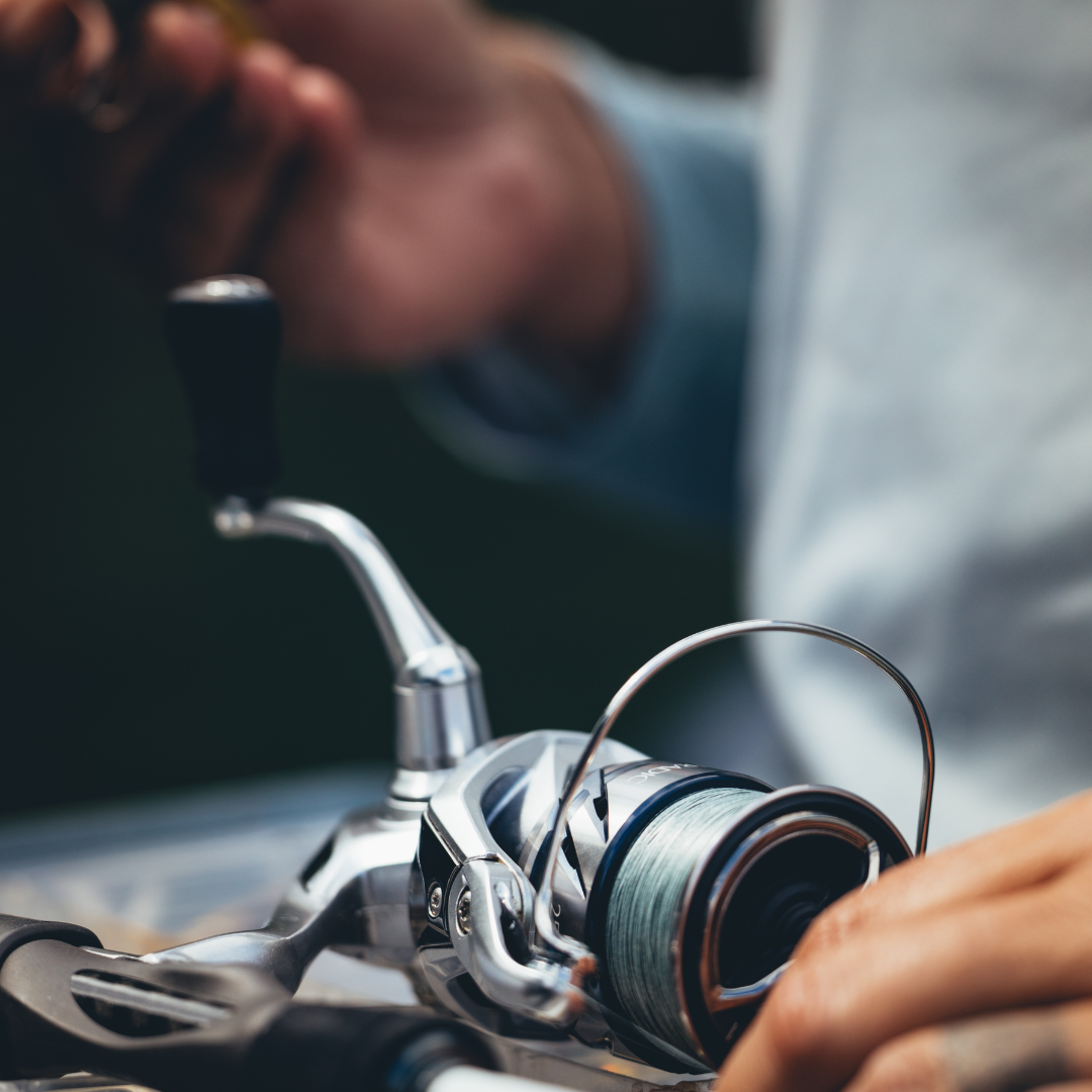 Shimano Stradic FM 1000 HG