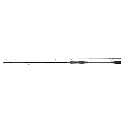 Rute Yasei Pike Spinning 2,50m 40-120g 2Stk