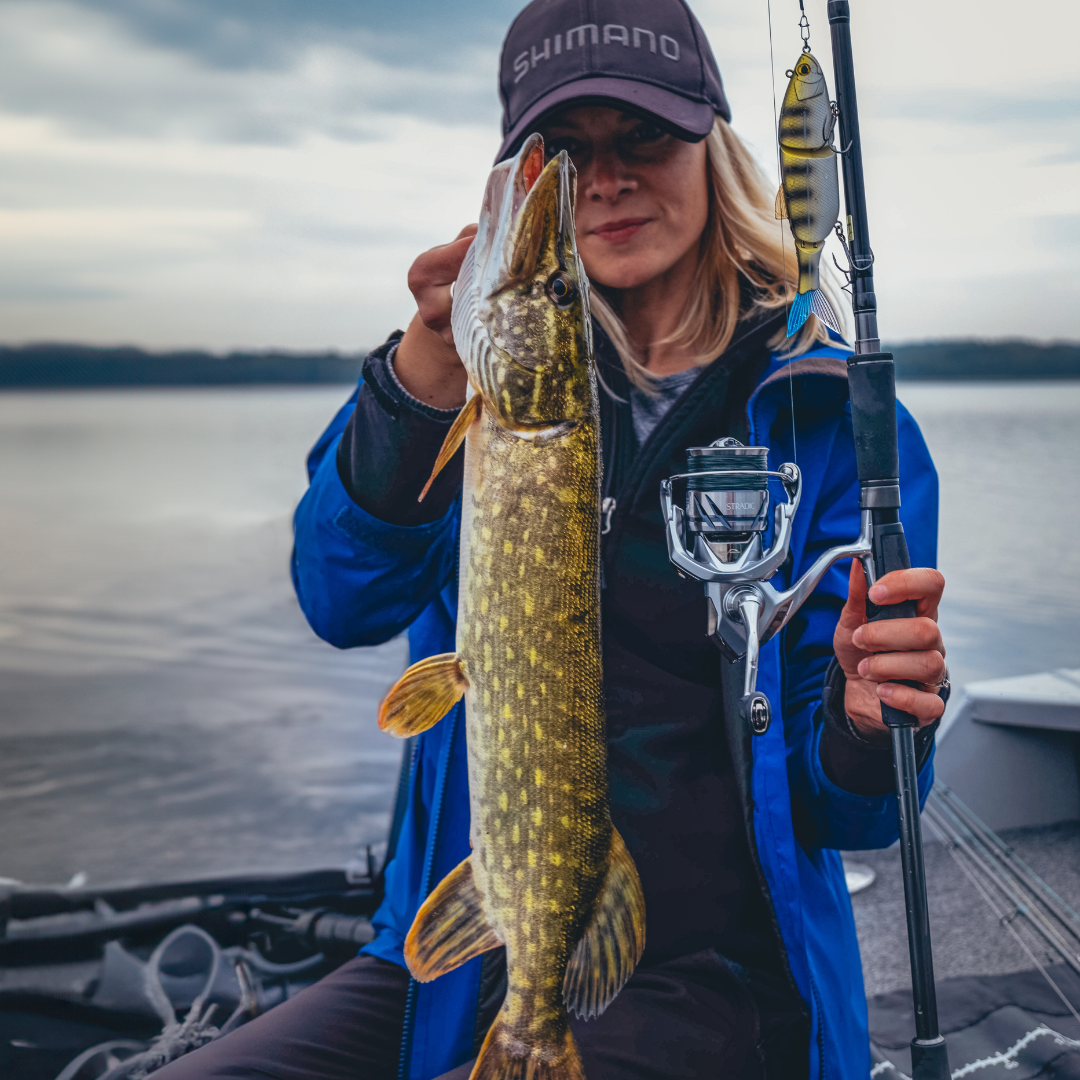 Shimano Stradic FM 1000 HG