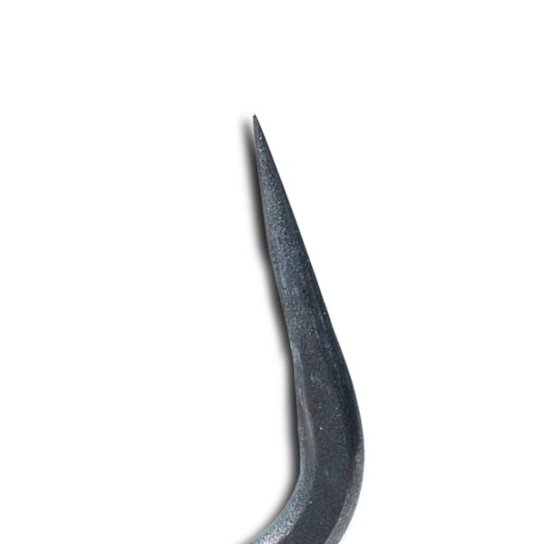 NASH Curve Shank